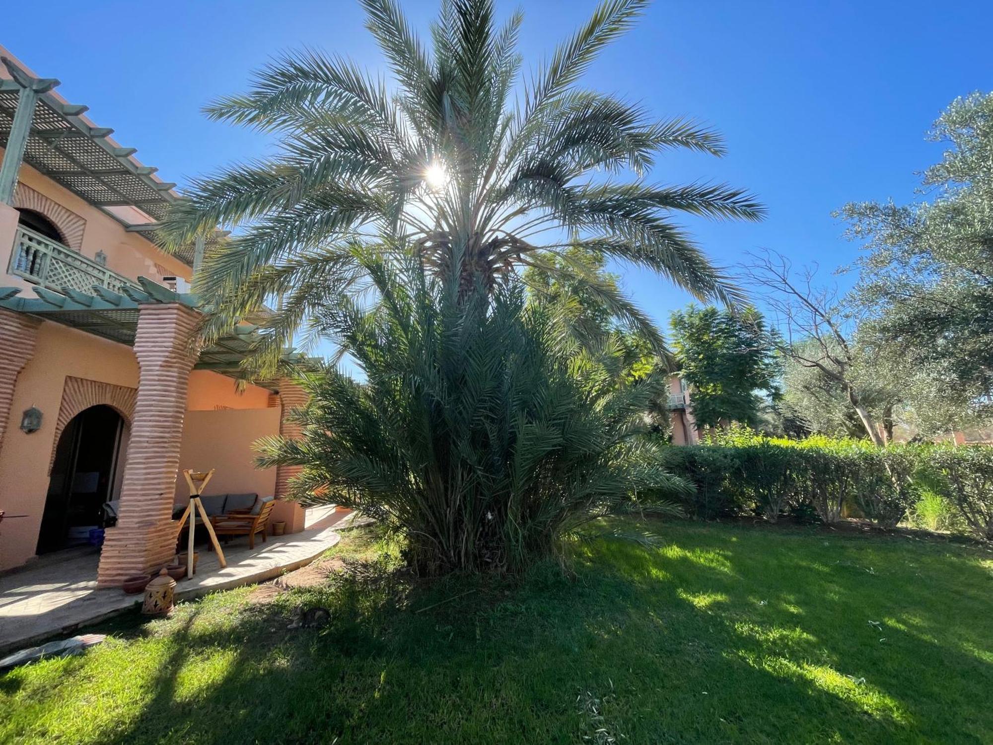 Au Riad De La Palmeraie - Marrakech Marrakesh Buitenkant foto